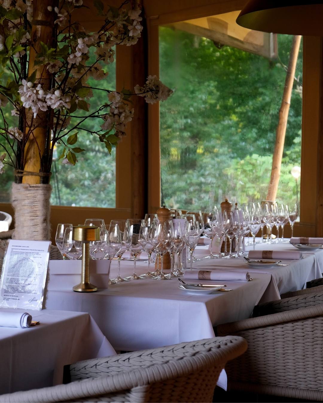 Brasserie latem terras
